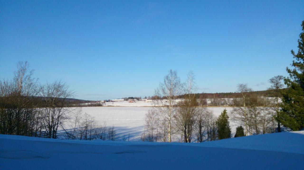 Roeda Stugan Hedemora Экстерьер фото